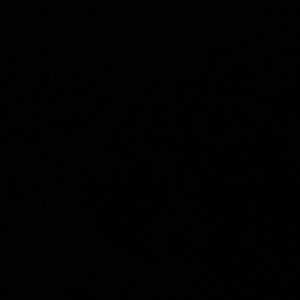 Meet your Posher, Paul